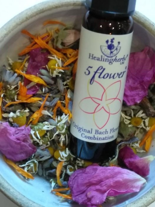 Birch school of herbal medicine Bach Flower training course