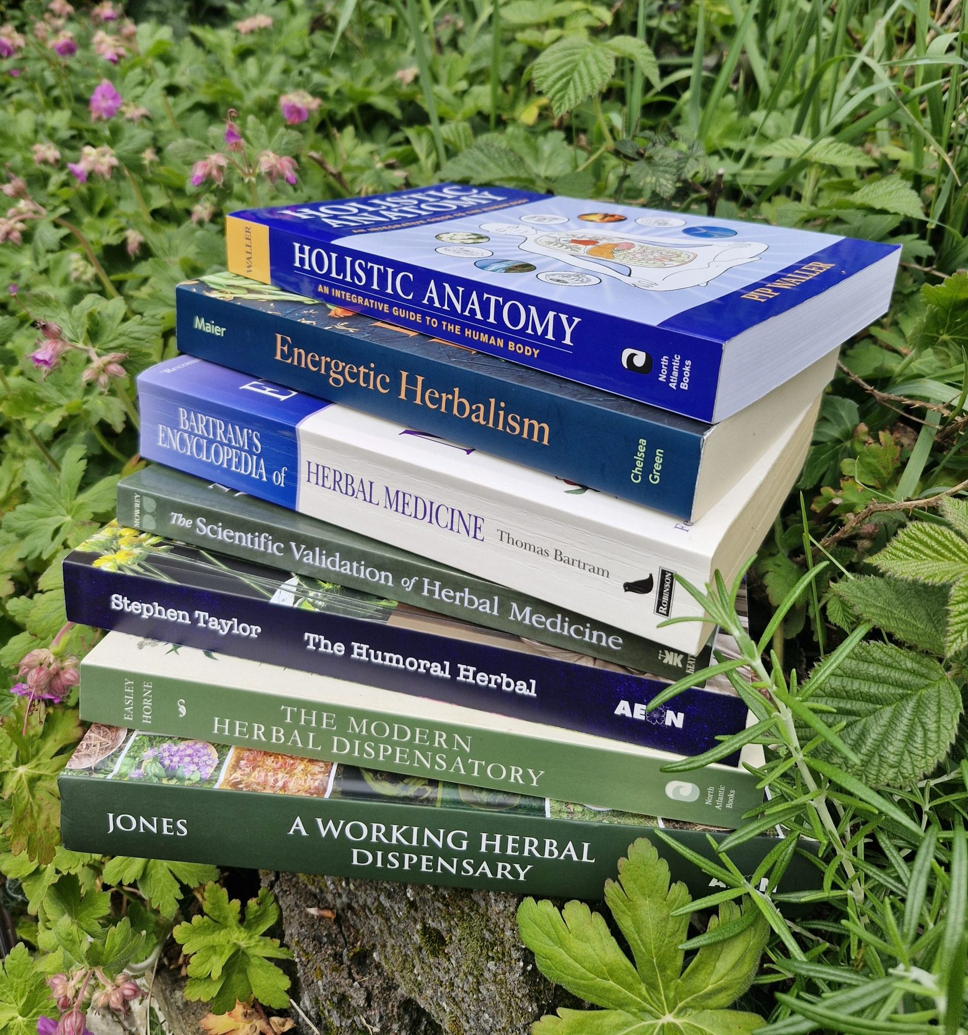 Herbalist training school textbooks