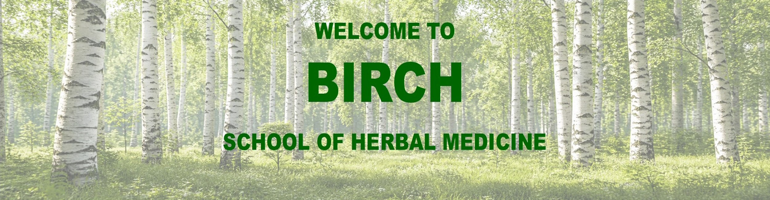 Herbalist Training School
